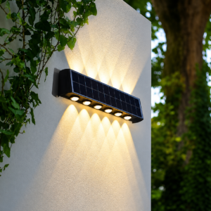 Lampes solaires jardin à économie d'énergie 6LED 